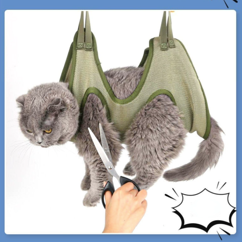 PET