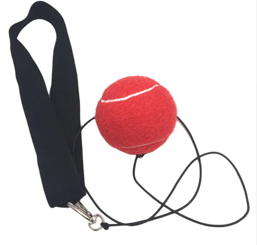 Boxing Reaction Speed Ball Training Equipment for Home