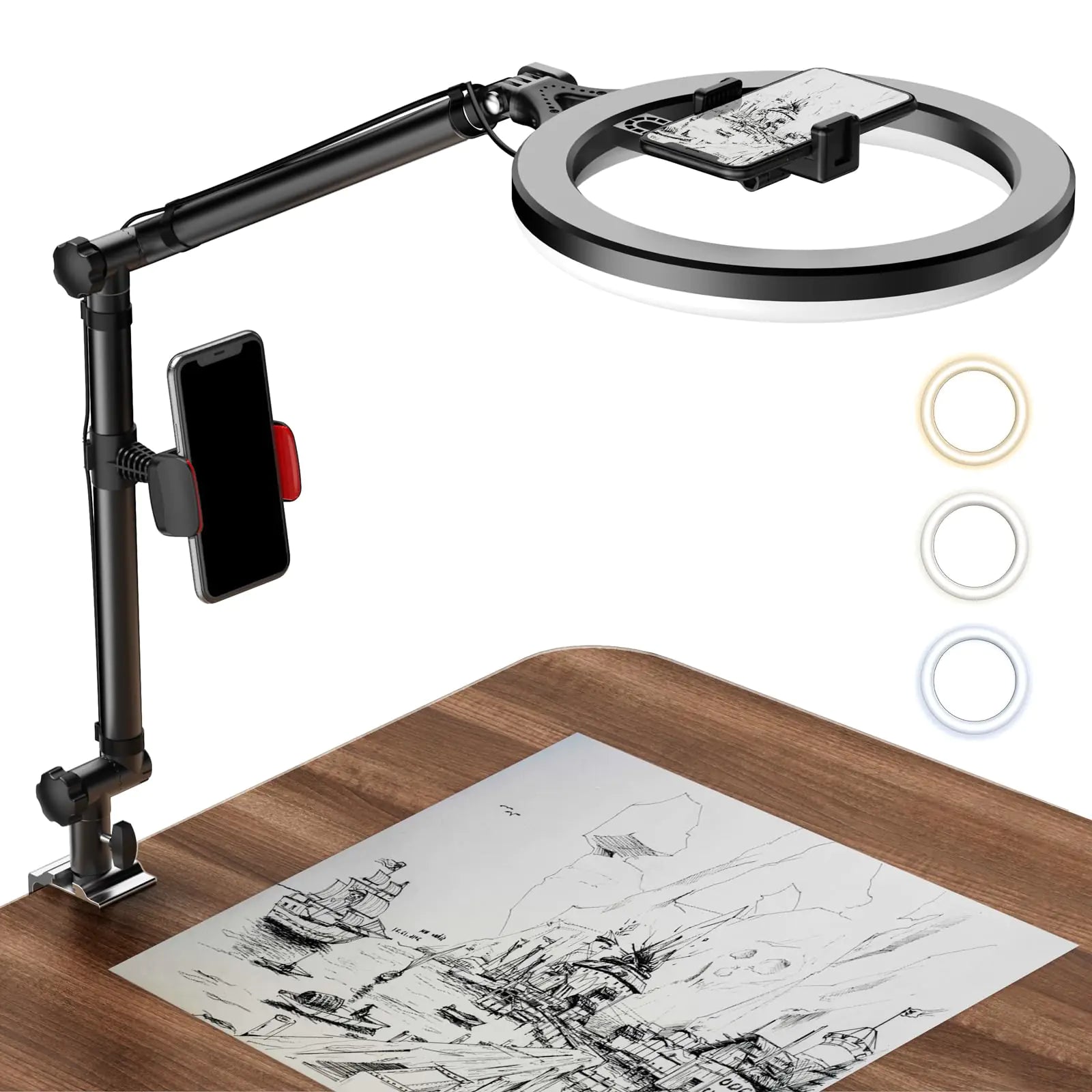 LUOLED Ring Light with Stand and Phone Holder USB 10 Ring Light for Desk Overhead Camera Mount with Ring Light Desktop Ring Light with Clamp for Photography/Makeup/Live Stream Video/YouTube