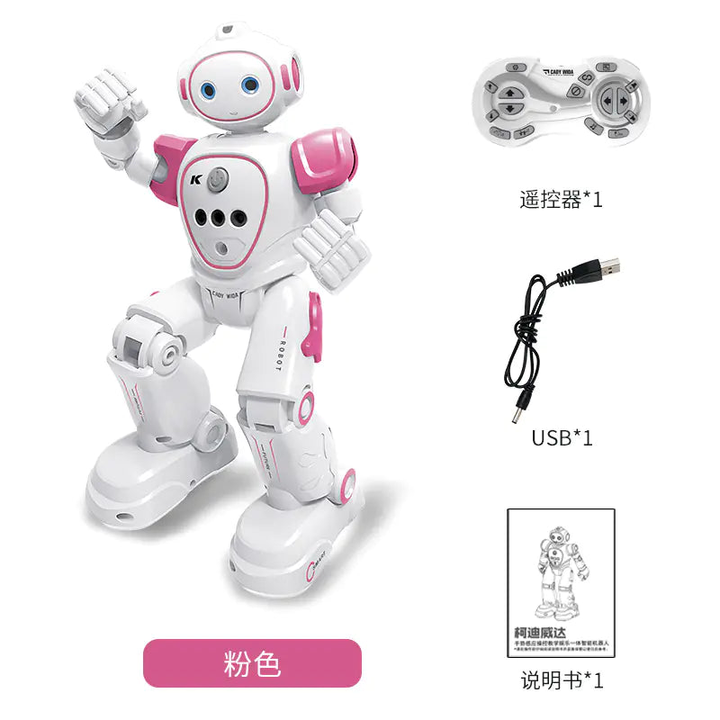 Remote Control Robot Toy