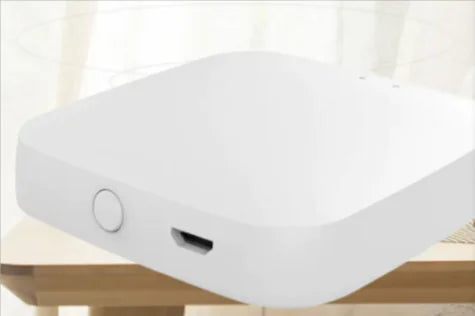 Fingerprint Smart Lock