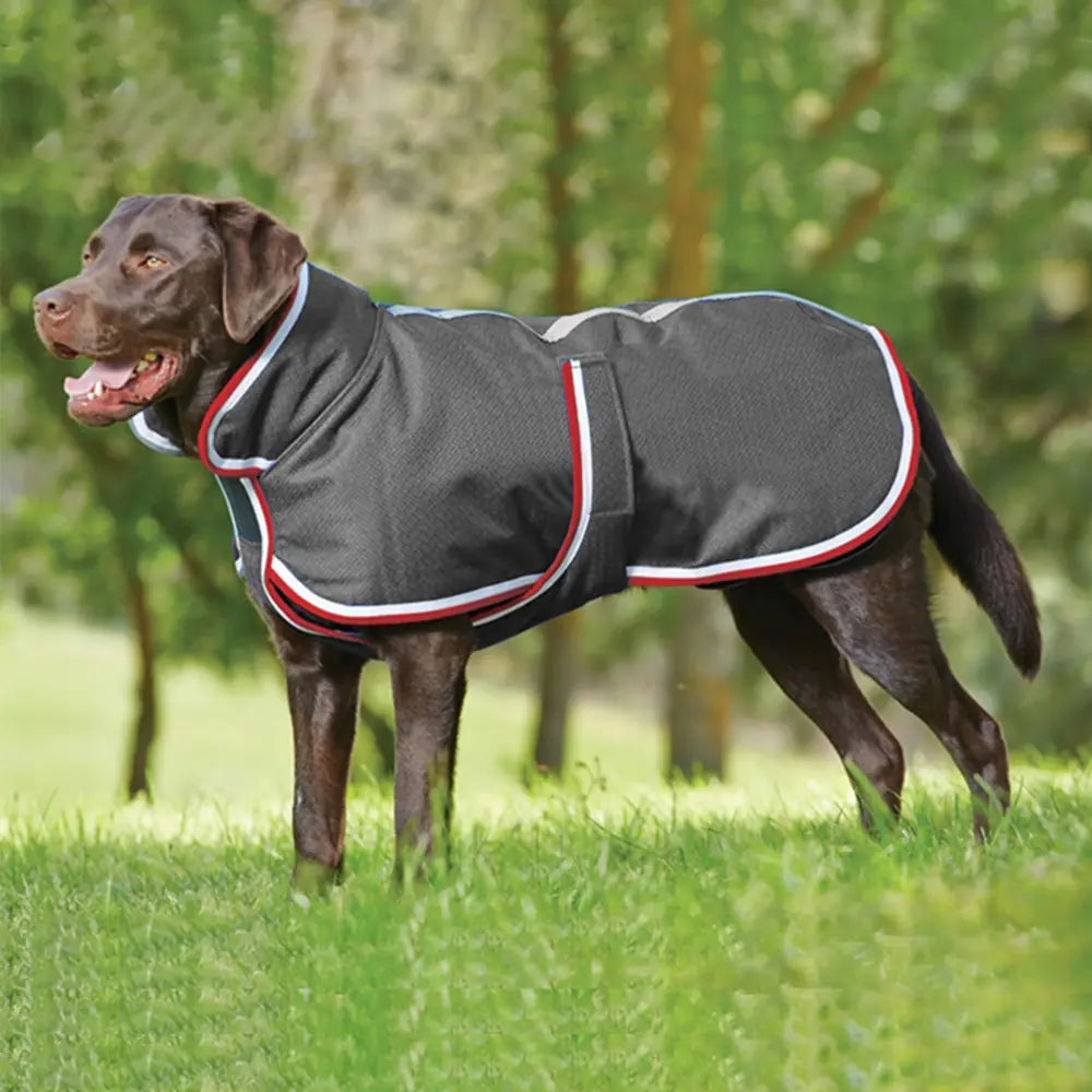 Warm Waterproof Jacket for Pets - Autumn & Winter