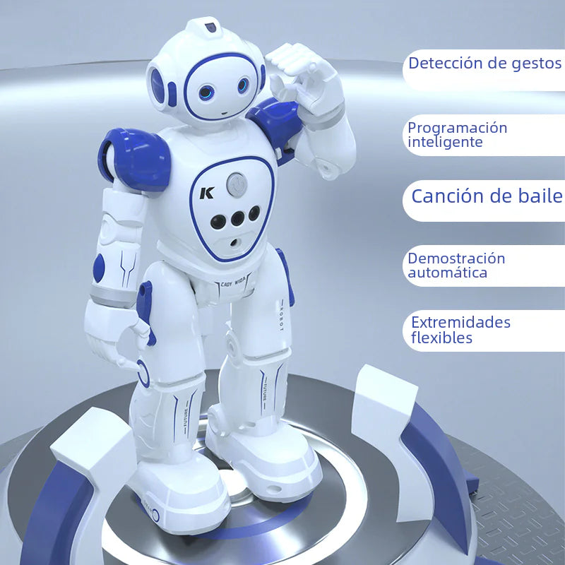 Remote Control Robot Toy