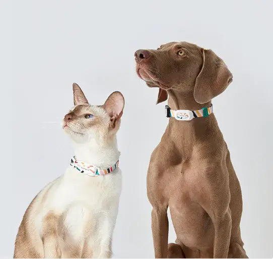 PETKIT Smart Pet Activity Tracker