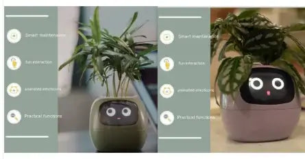 Smart Planter