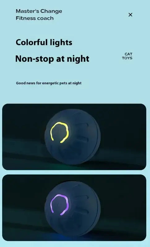 Paws Play Smart Ball