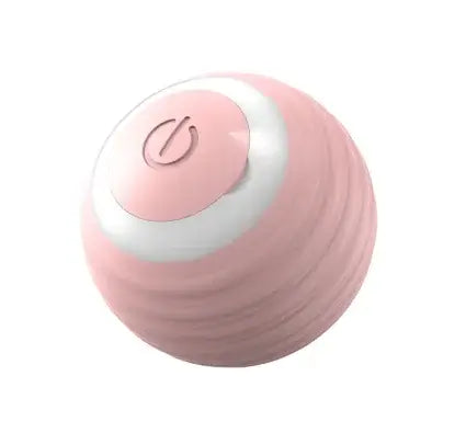 Paws Play Smart Ball