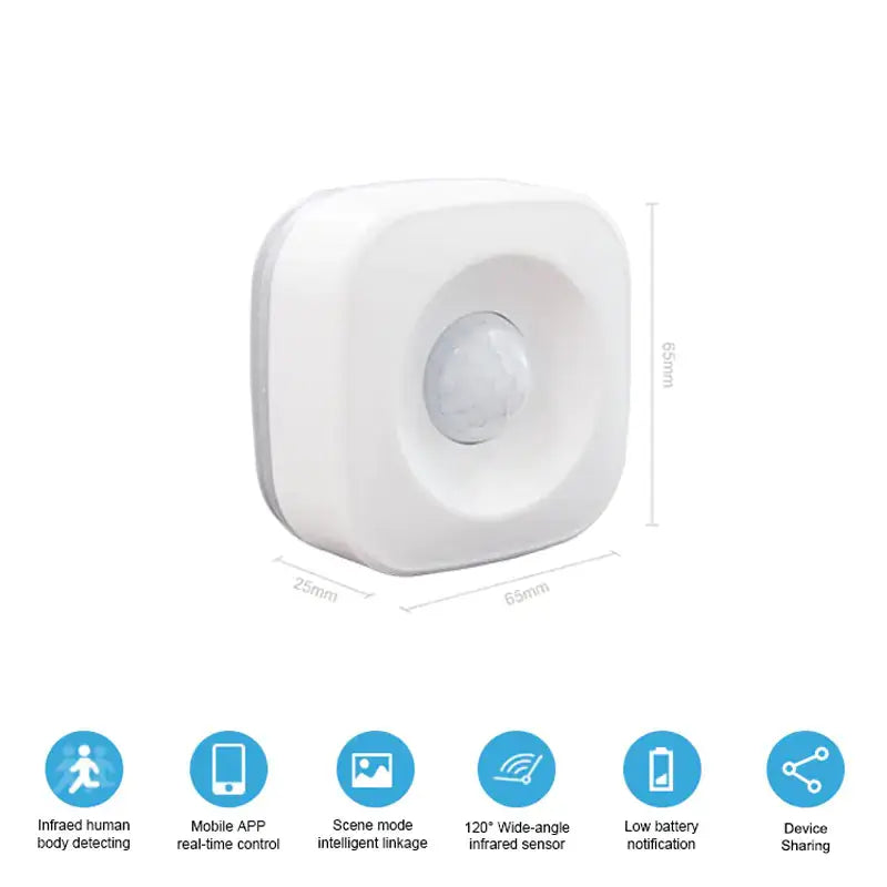 Smart Life Motion Sensor Detector