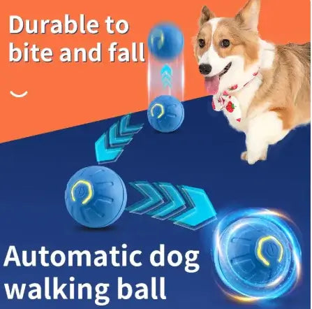 Paws Play Smart Ball
