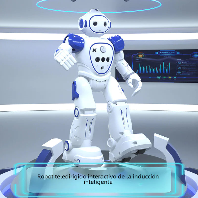 Remote Control Robot Toy