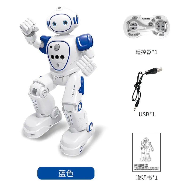 Remote Control Robot Toy