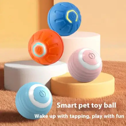Paws Play Smart Ball